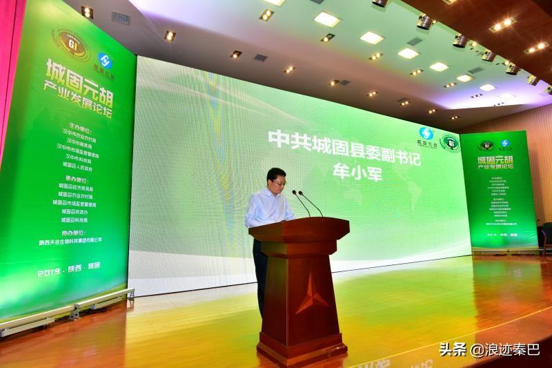 元胡的功效與作用，揭示傳統(tǒng)草藥的神奇療效，元胡的神奇療效，功效與作用探究