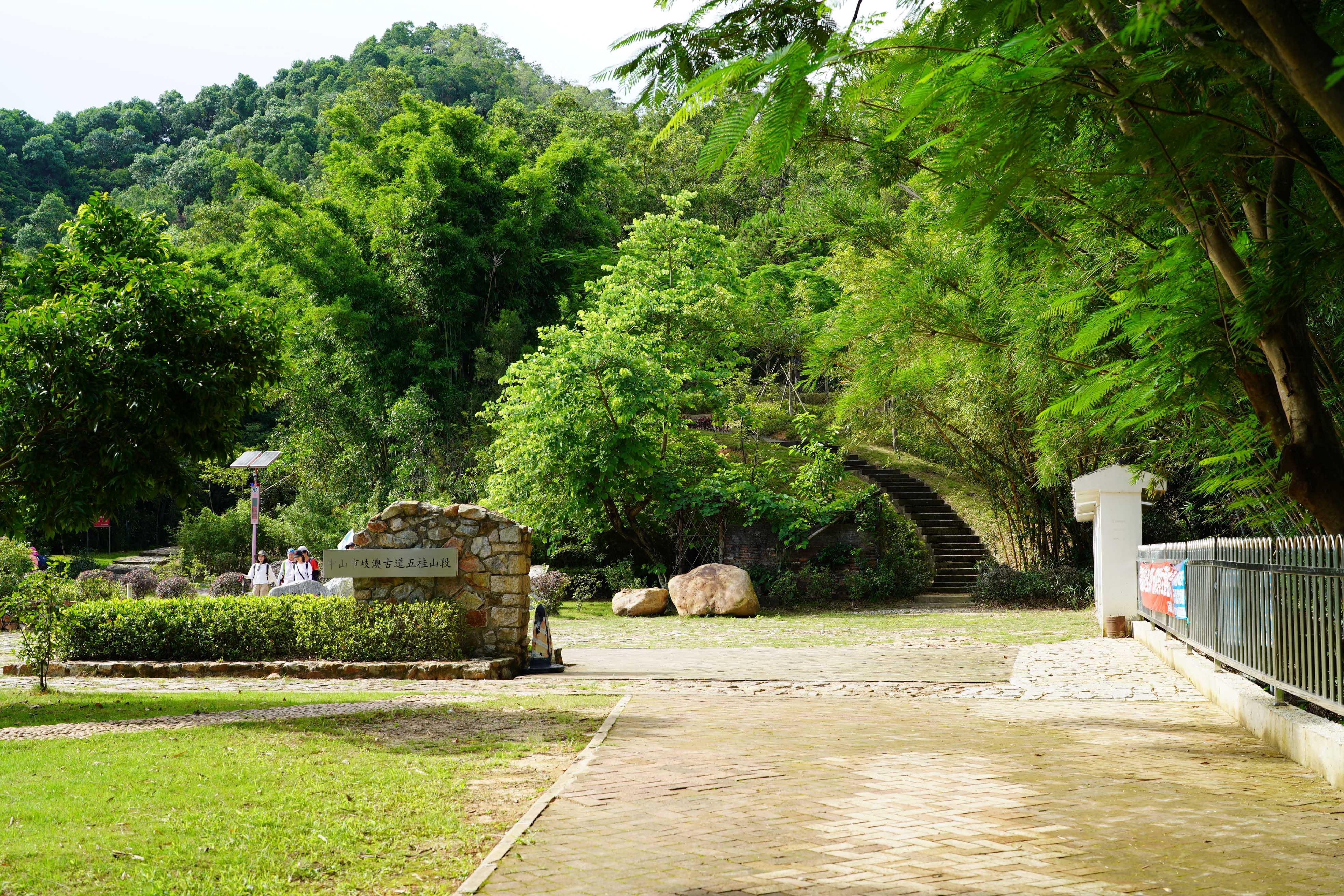 新澳門(mén)走勢(shì)圖最新分析與預(yù)測(cè)，澳門(mén)走勢(shì)圖最新分析與預(yù)測(cè)概覽