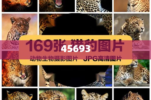 全新升級(jí)，7777888888精準(zhǔn)新管家，全新升級(jí)管家，精準(zhǔn)管理，一站式服務(wù) 7777888888新管家重磅來襲