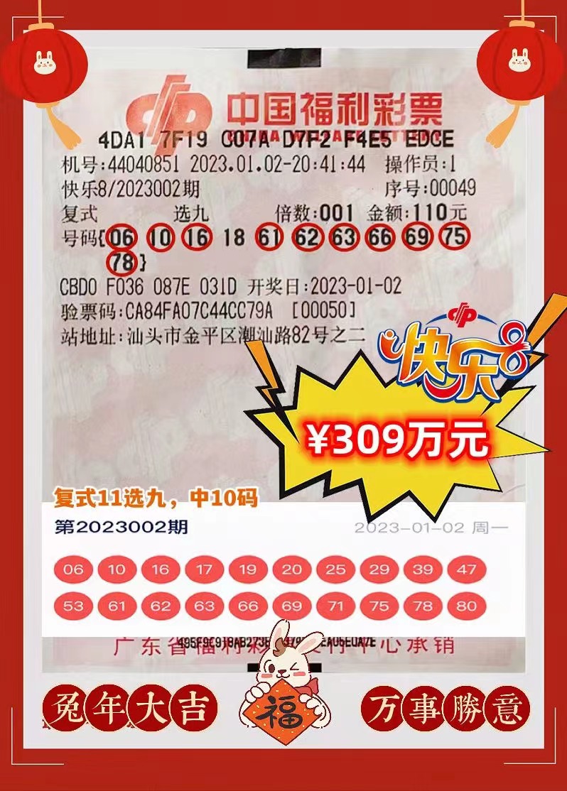 香港王中王最一肖，揭秘背后的故事與神秘預(yù)測，揭秘香港王中王最一肖背后的故事與神秘預(yù)測之道