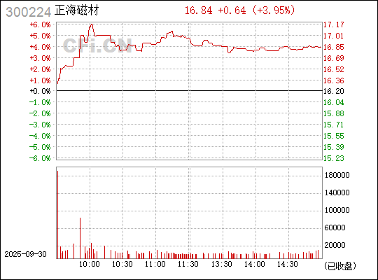 深入了解300224，數(shù)字背后的故事與意義，揭秘?cái)?shù)字背后的故事與意義，解碼300224的深層含義