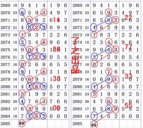 一肖一尾幾組二中二