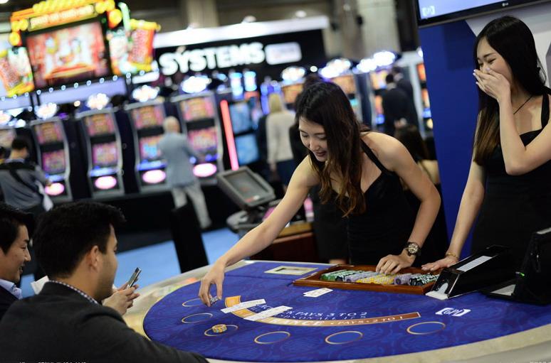 新澳門必中資料，探索博彩世界的秘密，新澳門必中資料揭秘，博彩世界的神秘面紗