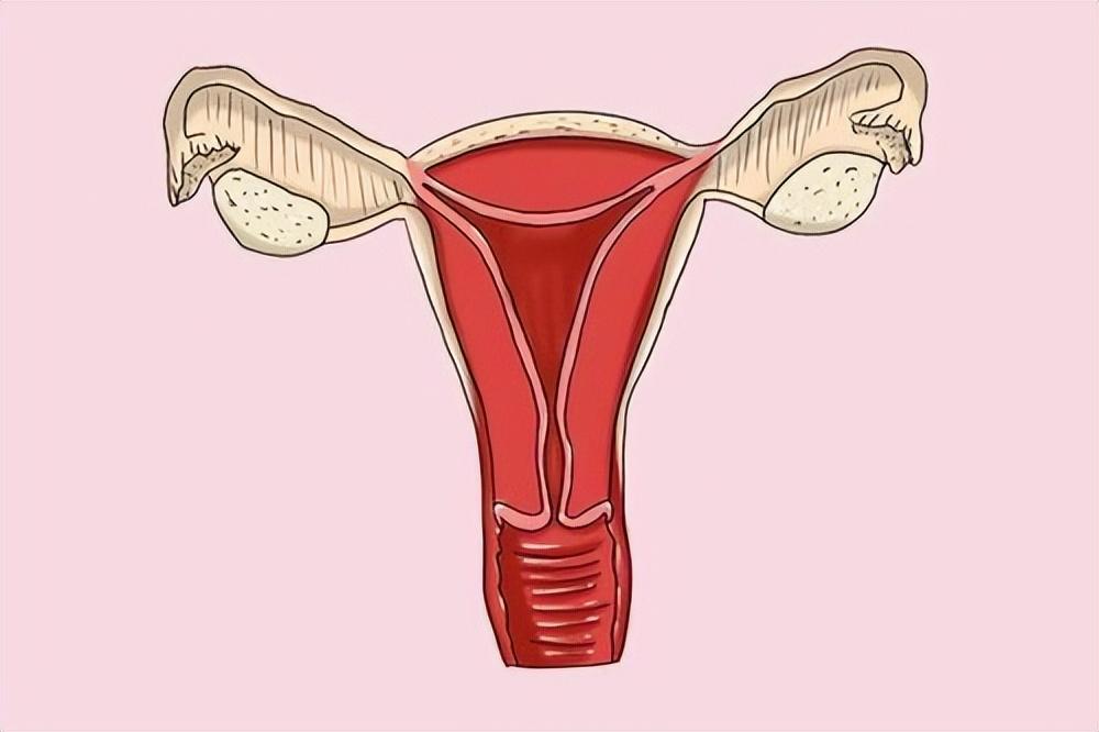 上環(huán)的最佳時(shí)間，全面解析與指導(dǎo)，上環(huán)最佳時(shí)間解析與指導(dǎo)手冊(cè)