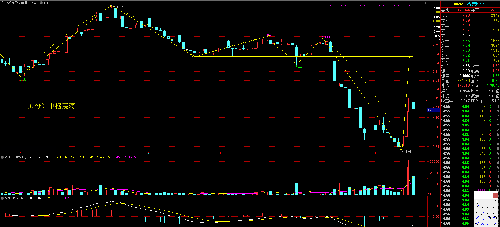 關(guān)于股票代碼002692的全面解析，股票代碼002692全面解析與解讀