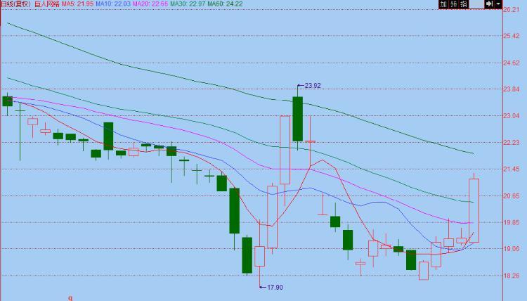 探索巨人網(wǎng)絡(luò)股吧，解碼股市新寵兒002558，巨人網(wǎng)絡(luò)股吧深度解析，解碼股市新星002558