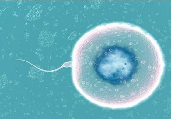 自己測(cè)試懷孕的小方法——早期懷孕檢測(cè)指南，早期懷孕自我檢測(cè)指南，小方法助你快速知孕情