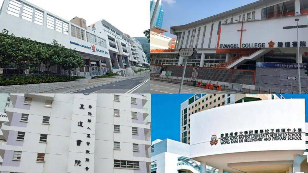 香港免費(fèi)公開(kāi)資料大全，探索無(wú)盡的資源寶庫(kù)，香港免費(fèi)公開(kāi)資料寶庫(kù)，無(wú)盡資源探索之旅