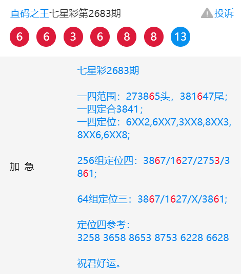 王中王一肖中特4487，揭秘背后的故事與奧秘，揭秘王中王一肖中特4487背后的故事與奧秘