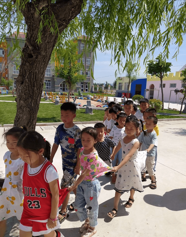 王中王三肖四期必開一肖，解析與預(yù)測，王中王三肖四期必開一肖解析與預(yù)測報告