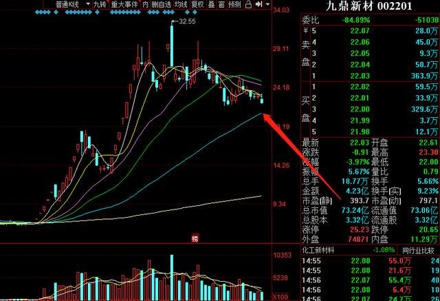 股票002201，深度解析與前景展望，股票002201深度解析與未來前景展望