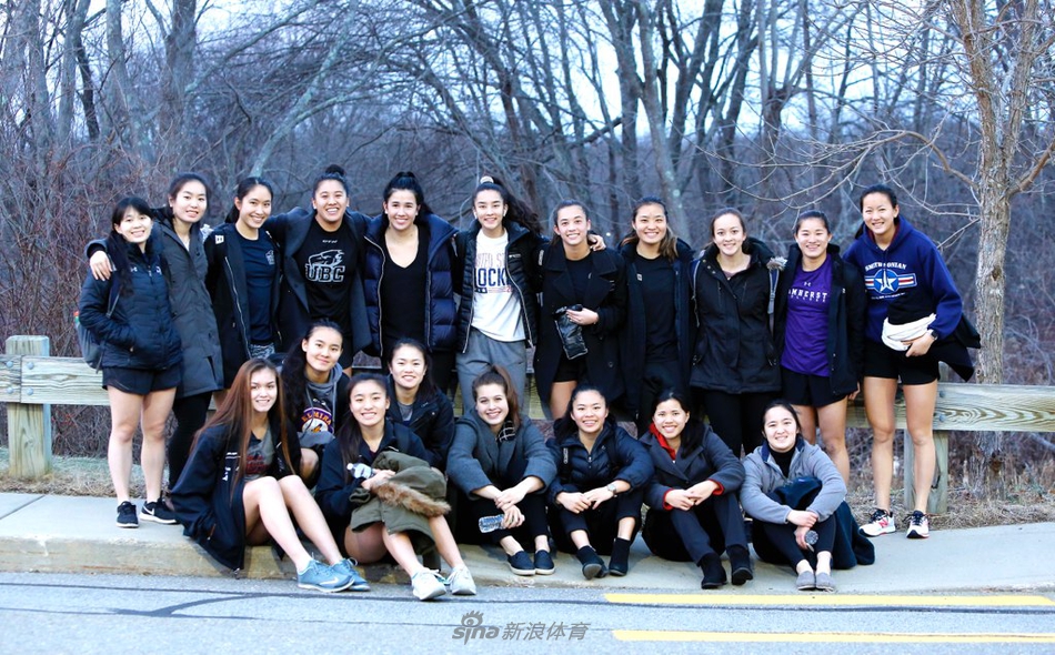 王中王四不像一肖圖，揭秘神秘圖騰的奧秘，揭秘神秘圖騰，王中王四不像一肖圖之奧秘