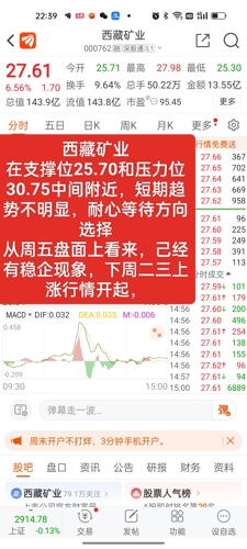 西藏礦業(yè)股票股吧，投資潛力與前景展望，西藏礦業(yè)股票投資潛力與前景展望，股吧熱議的焦點(diǎn)