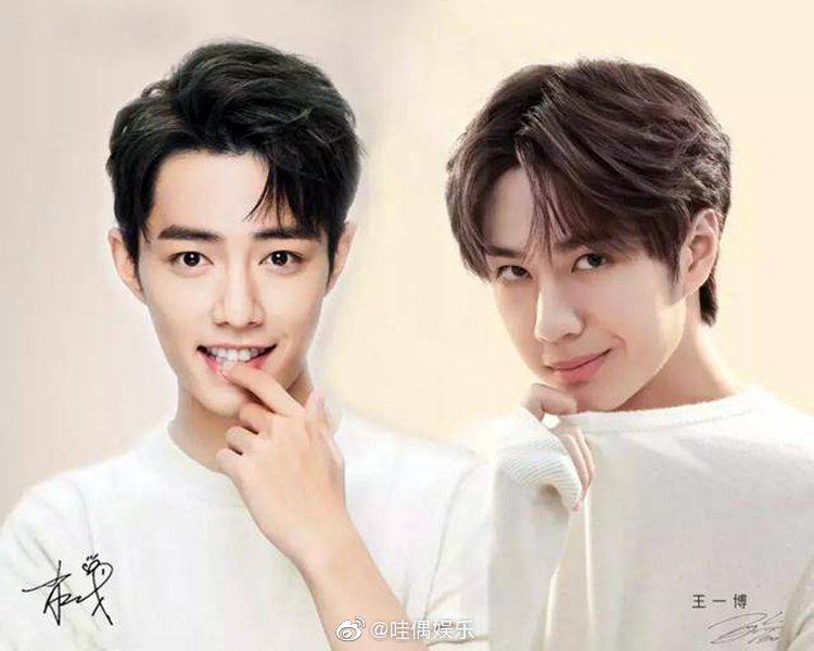 王中王一肖資料深度解析，一探究竟，王中王一肖資料深度解析，揭秘真相