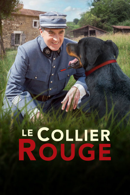 四不像王中王必中一肖，揭秘背后的秘密與策略，揭秘四不像王中王必中一肖的秘密與策略，揭秘背后的真相與策略