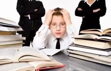 三肖必開一期王中王，揭秘背后的秘密與策略，揭秘三肖必開一期王中王的秘密與策略