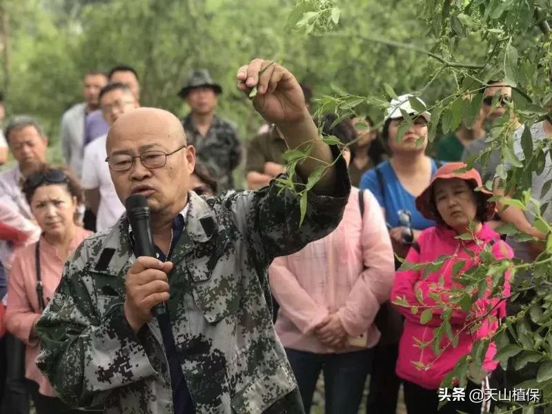 長(zhǎng)期吃紅棗的潛在害處，了解并平衡飲食健康，長(zhǎng)期食用紅棗的潛在風(fēng)險(xiǎn)與飲食平衡的重要性