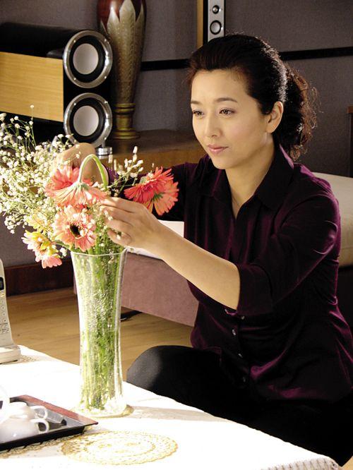 江珊演過的全部電視劇，演藝之路的璀璨篇章，江珊演藝生涯，璀璨篇章——電視劇作品全回顧