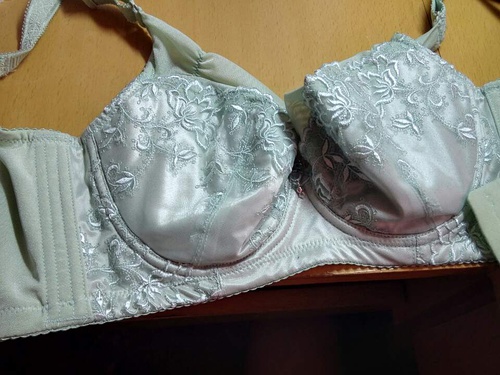 四肖期期誰一王中王——揭秘背后的秘密，揭秘四肖期期王中王背后的秘密