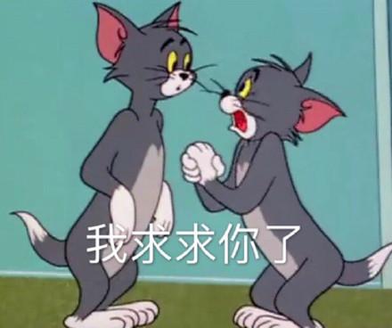 湯姆貓股票股吧，投資熱點與前景展望，湯姆貓股票股吧，投資熱點與未來前景展望