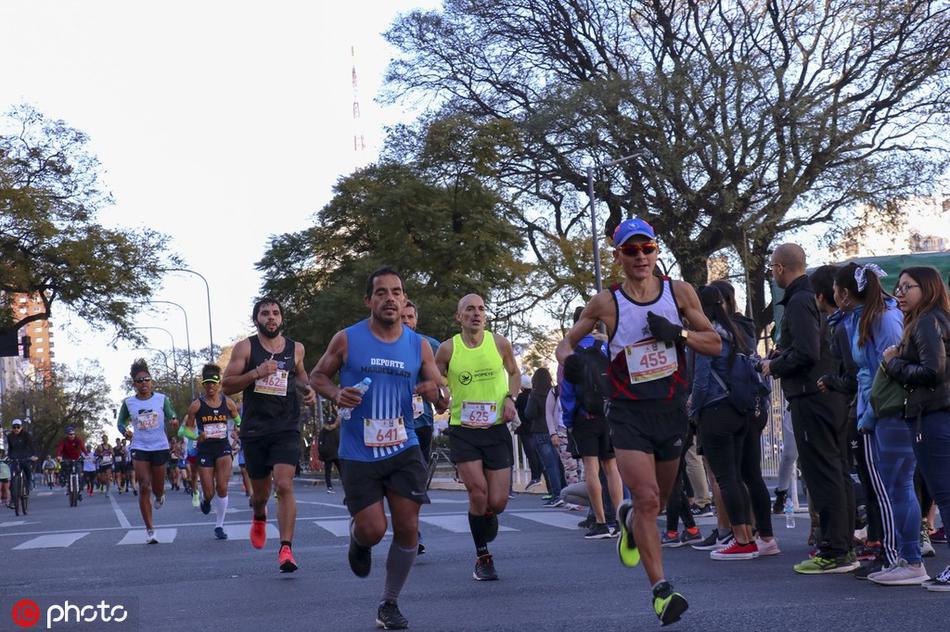 劉伯溫網(wǎng)站平特一肖，揭秘與探索，劉伯溫網(wǎng)站平特一肖揭秘之旅