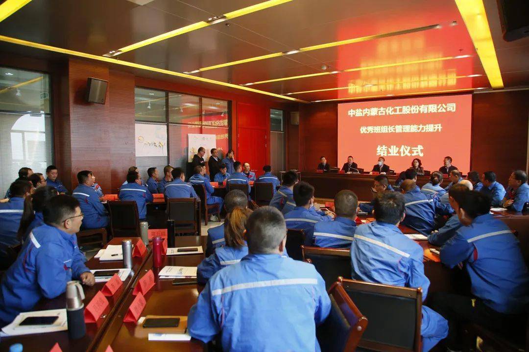 中鹽內(nèi)蒙古化工股票，投資前景深度解析，中鹽內(nèi)蒙古化工股票投資前景深度剖析