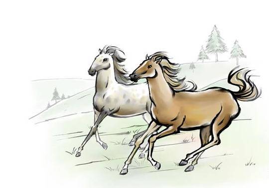 今期必劉伯溫打一生肖——探尋生肖奧秘與傳奇人物劉伯溫的關聯，劉伯溫與生肖奧秘，探尋傳奇人物與生肖的關聯