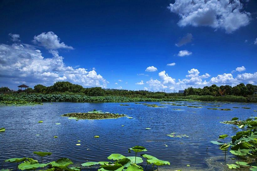 山東天氣最新消息，全面了解山東各地的氣象動(dòng)態(tài)，山東最新天氣預(yù)報(bào)，全面解讀各地氣象動(dòng)態(tài)