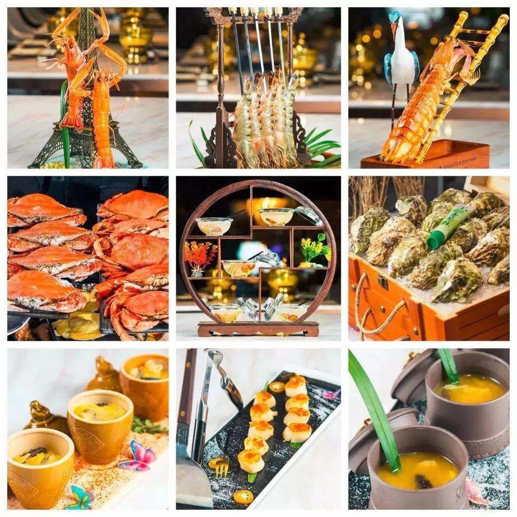 2023澳門天天開好彩大全開獎結(jié)果及解析，澳門天天開好彩開獎結(jié)果解析與預(yù)測（最新更新）