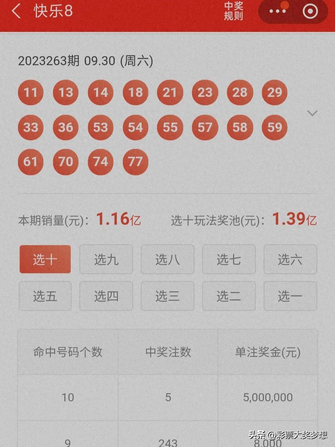 揭秘王中王四肖必中一肖中特，深度解析與SEO優(yōu)化策略，揭秘王中王四肖必中一肖中特，深度解析與SEO策略全攻略