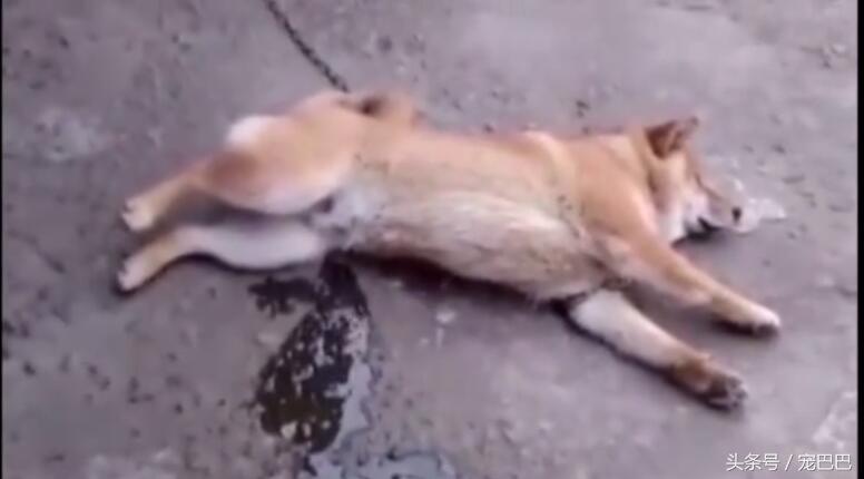 一睡覺就不停做夢(mèng)，原因解析與改善策略，睡眠多夢(mèng)原因解析及改善策略