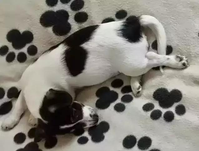 近視眼可以當(dāng)兵嗎？全面解析近視與軍隊生涯的關(guān)聯(lián)，近視與軍隊生涯，能否參軍？全面解析關(guān)聯(lián)之謎。