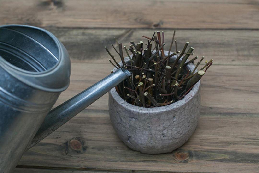 青春痘怎么治，全面解析有效的預(yù)防與治療方法，全面解析青春痘預(yù)防與治療方法，專(zhuān)業(yè)有效的治療策略