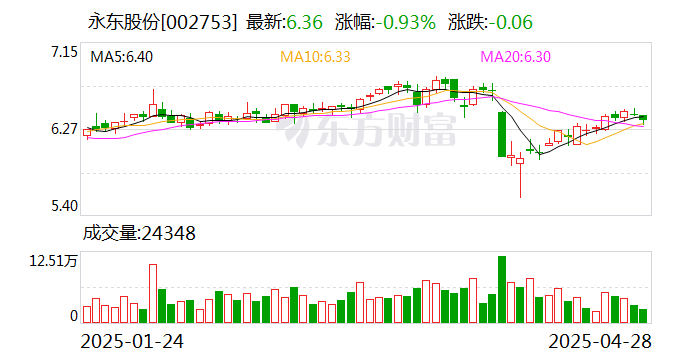 永東股份，引領(lǐng)行業(yè)前沿，塑造卓越未來(lái)，永東股份，引領(lǐng)行業(yè)先鋒，塑造卓越未來(lái)之路
