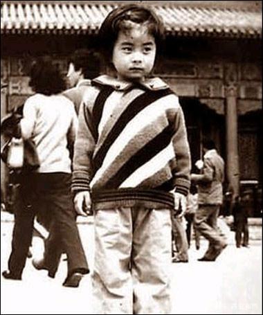 揭秘保定事件中的中國人民解放軍陸軍第38軍，揭秘保定事件背后的中國人民解放軍陸軍第38軍角色與行動