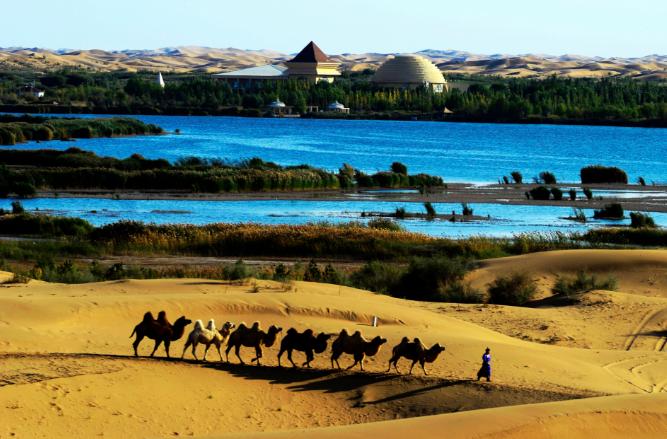 騰格里沙漠，探索神秘之旅與SEO優(yōu)化之旅的交融，騰格里沙漠，神秘之旅與SEO優(yōu)化之旅的交融探索