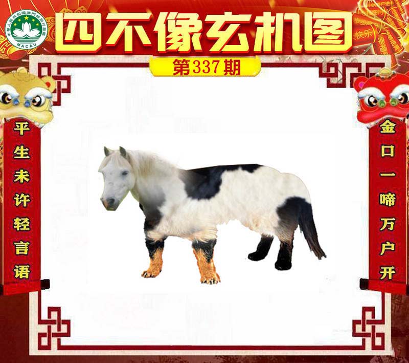 王中王一肖中特四不像——探尋神秘現(xiàn)象背后的真相，神秘現(xiàn)象揭秘，王中王一肖中特四不像探尋真相之旅