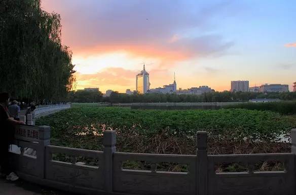 北京值得去的公園排行，探索城市中的綠色寶藏，北京必游公園排行榜，探尋城市中的綠意秘境