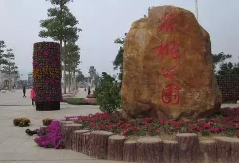 廣東陽江旅游必去十大景點(diǎn)——探索美麗的自然與人文景觀，廣東陽江旅游必去十大景點(diǎn)——自然與人文美景探索