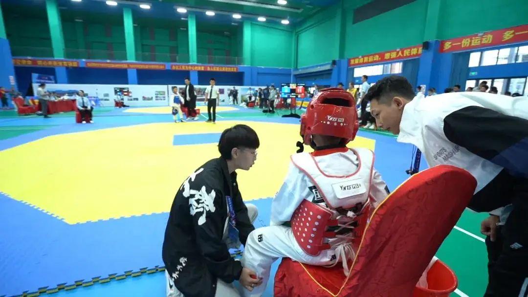 2021王中王資料一肖，深度解析與探索，揭秘王中王資料一肖，深度解析與探索