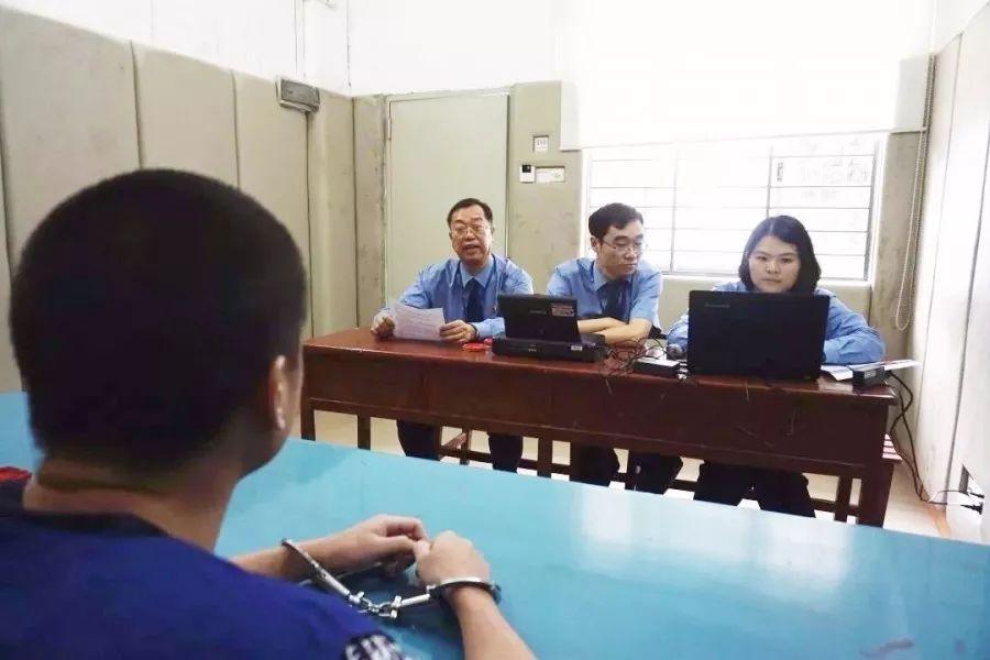 一肖賠多少倍，深度解析與實(shí)用指南，一肖賠多少倍，深度解析與投注策略指南