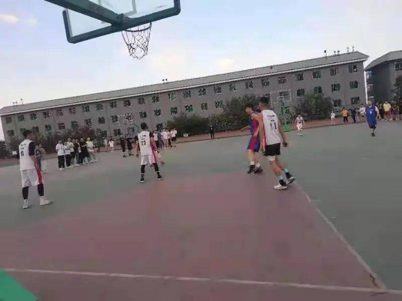 澳門二四六天下彩天天免費(fèi)大全——全面解析澳門彩票文化，澳門彩票文化全面解析，二四六天下彩免費(fèi)大全