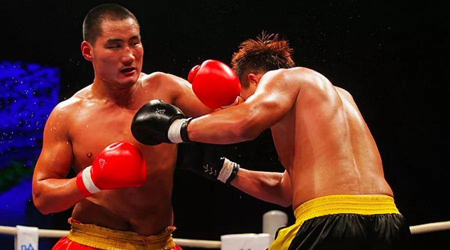 王中王85期指一生肖——深度解析與預(yù)測，王中王85期生肖深度解析與預(yù)測