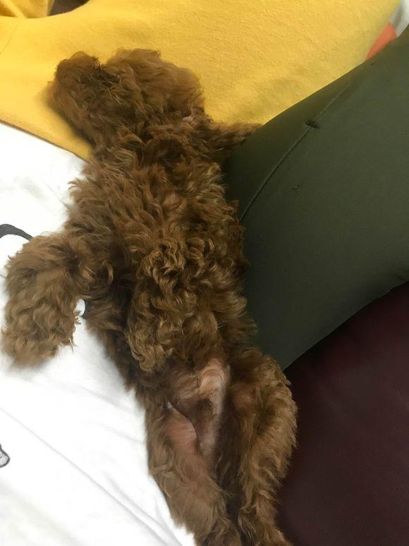 揭秘項(xiàng)目半途而廢背后的原因，為何做到一半會(huì)變軟？，揭秘項(xiàng)目半途而廢的原因，為何進(jìn)展到一半會(huì)遭遇軟化？