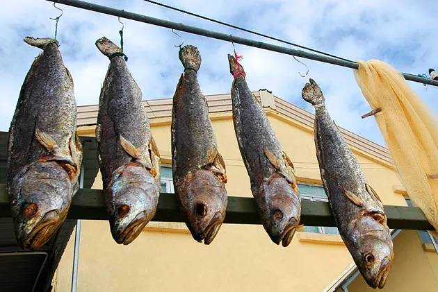 中國一級致癌魚排名及其健康風(fēng)險分析，中國致癌魚排名及健康風(fēng)險解析