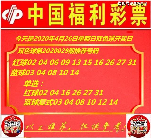 王中王029期指一生肖，揭秘生肖魅力與預測背后的秘密，揭秘生肖魅力與預測背后的秘密，王中王生肖預測第029期揭曉