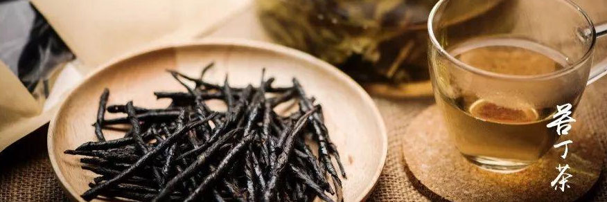 苦丁茶的作用與功效，揭示古老茶飲的神奇力量，苦丁茶的作用與功效，古老茶飲的神奇力量揭秘