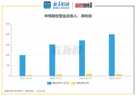 中偉股份股票，深度解析與前景展望，中偉股份股票深度解析及前景展望