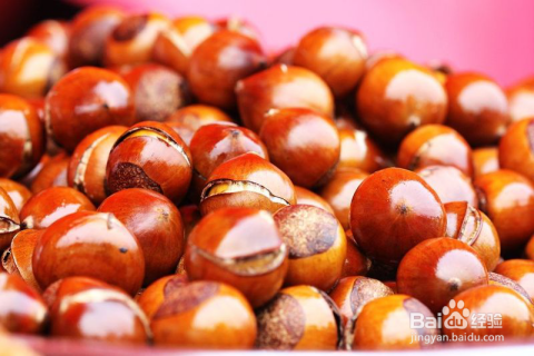 補(bǔ)腎吃什么食物最好——營(yíng)養(yǎng)食物助力腎臟健康，營(yíng)養(yǎng)食物助力腎臟健康，最佳補(bǔ)腎食物推薦