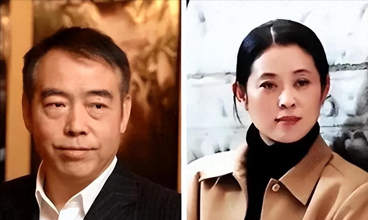 倪萍個人資料百科全書，一位才華橫溢的文藝界的璀璨明星，倪萍，文藝界的璀璨明星——個人資料百科全書